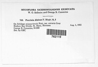 Image Associated With the Occurence